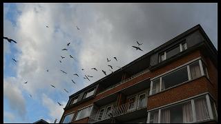 namur0812130176
