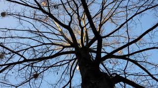 namur041216023