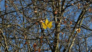 namur041216031