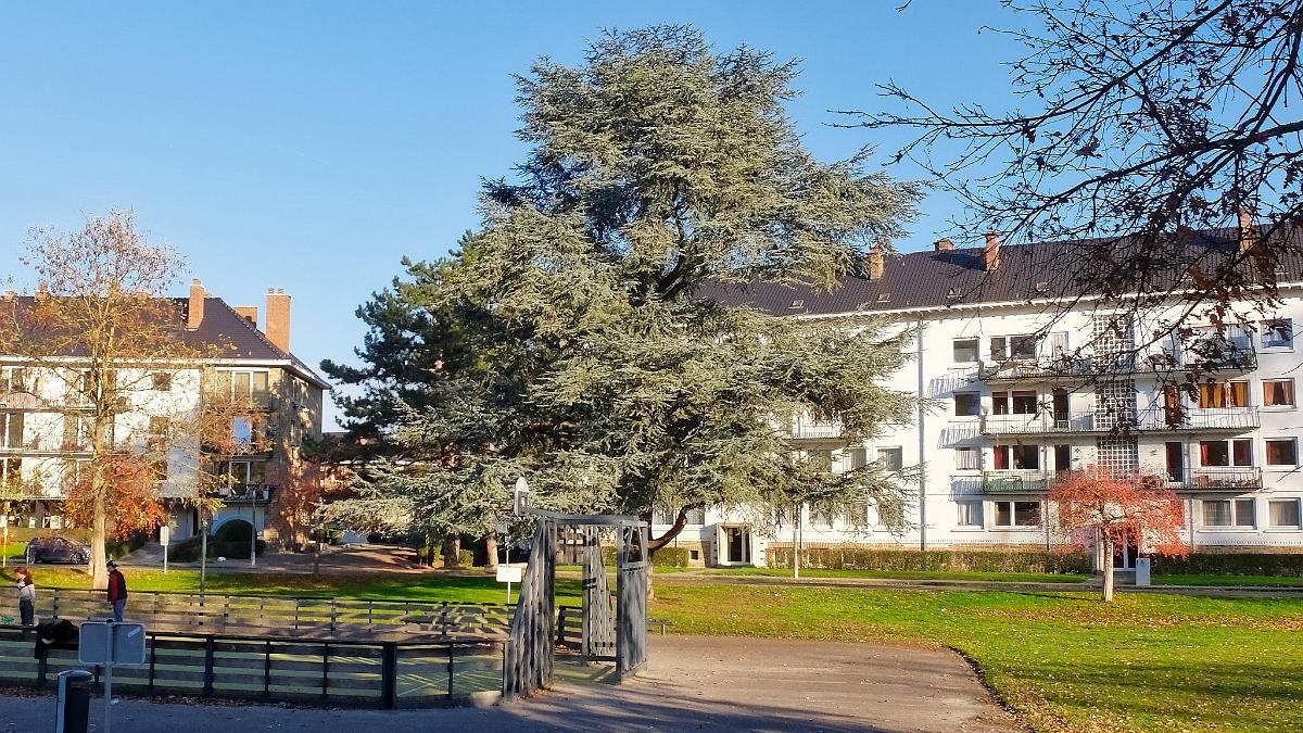namur0912180014