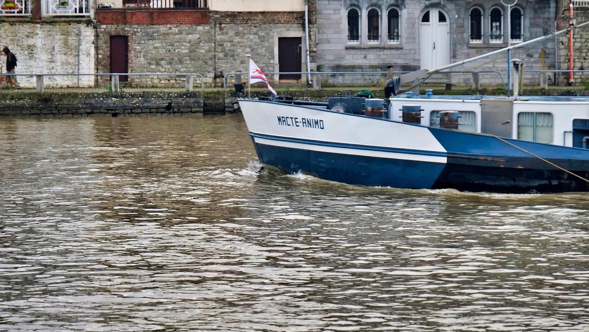 namur301218068