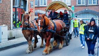 namur011219048