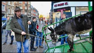 namur151219042