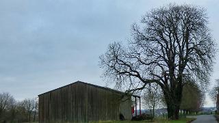namur291219084