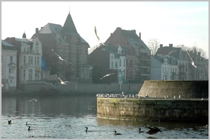 namur120206034
