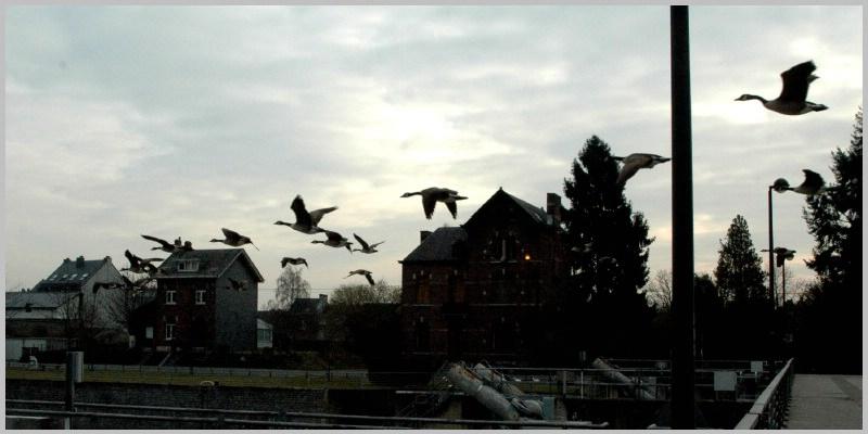 namur260206017