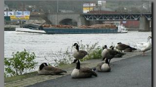 namur040207002