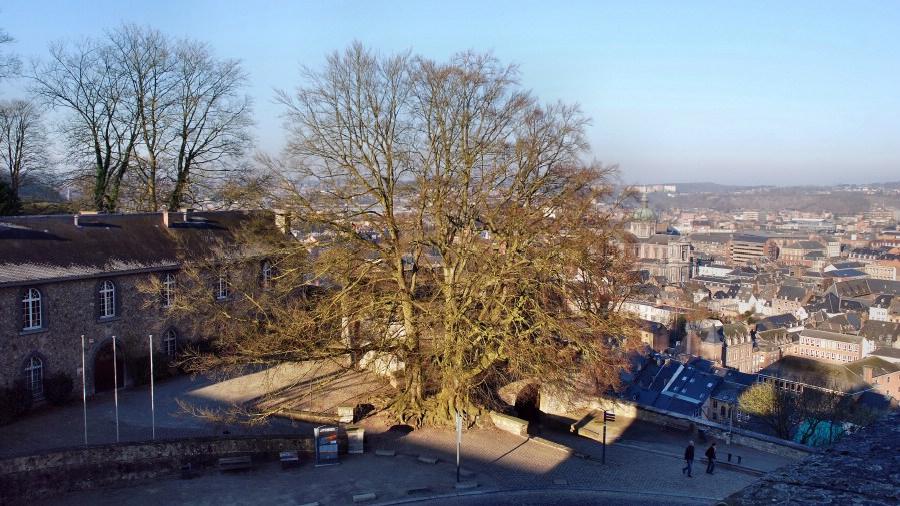 namur010209047