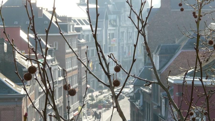 namur010209065