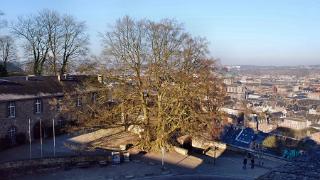 namur010209047