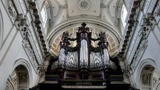 namur010209059