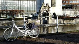 namur010209063