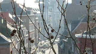 namur010209065
