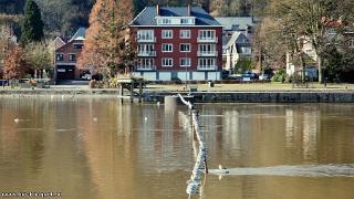 namur220209036