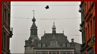 namur060211001