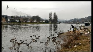 namur130211110