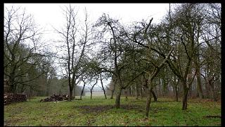 namur200211118