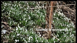 namur200211131