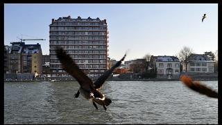 namur 1202120001