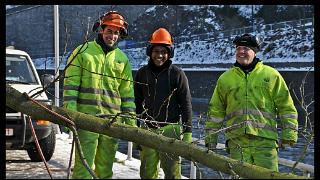namur 1202120092