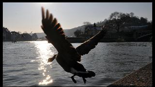 namur0502120041