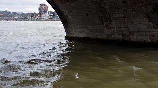 namur2302140044