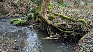 namur2302140120