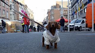 namur0802150119