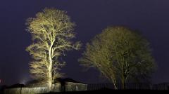 namur120217150