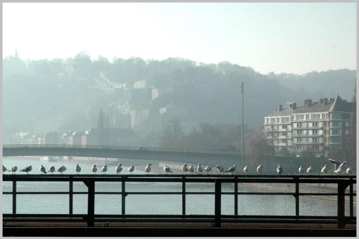 namur290106010