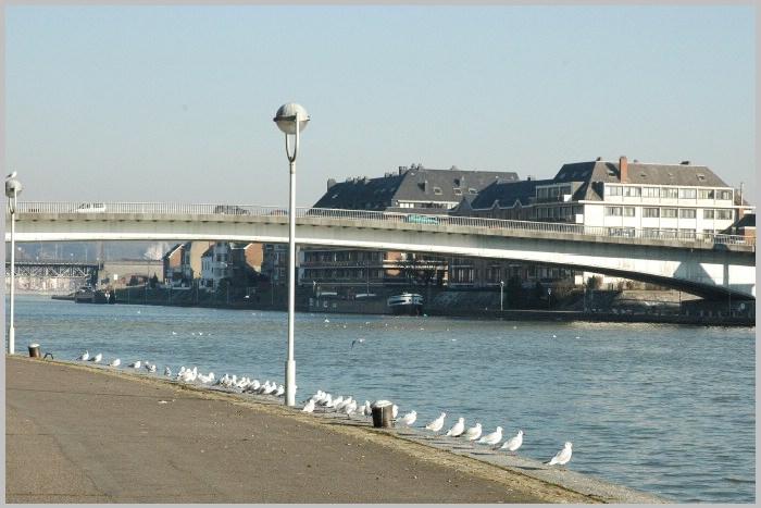 namur290106015
