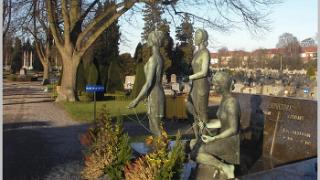 namur220106008