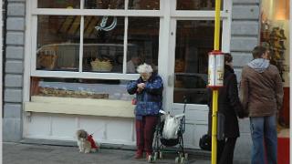namur220106019