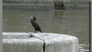 namur280107009