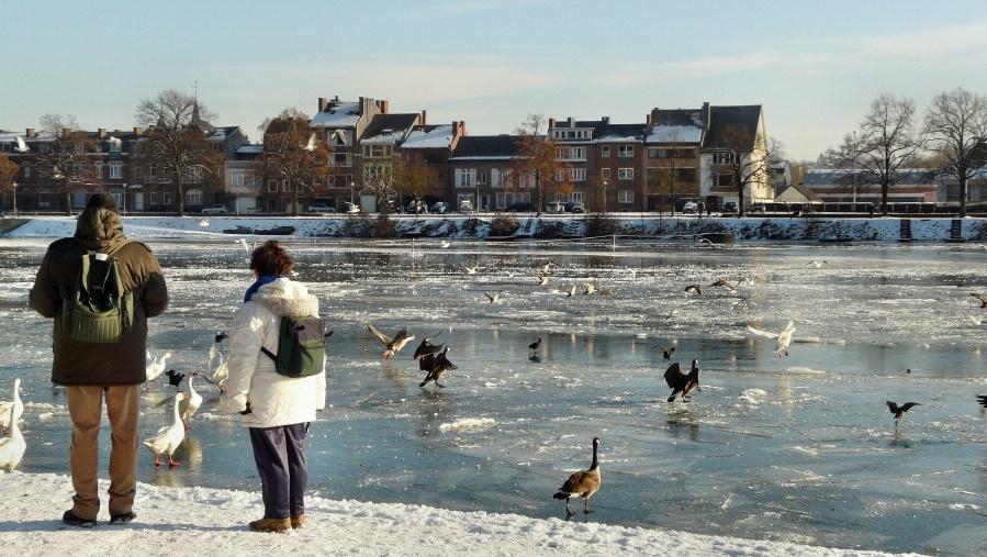 namur180109043