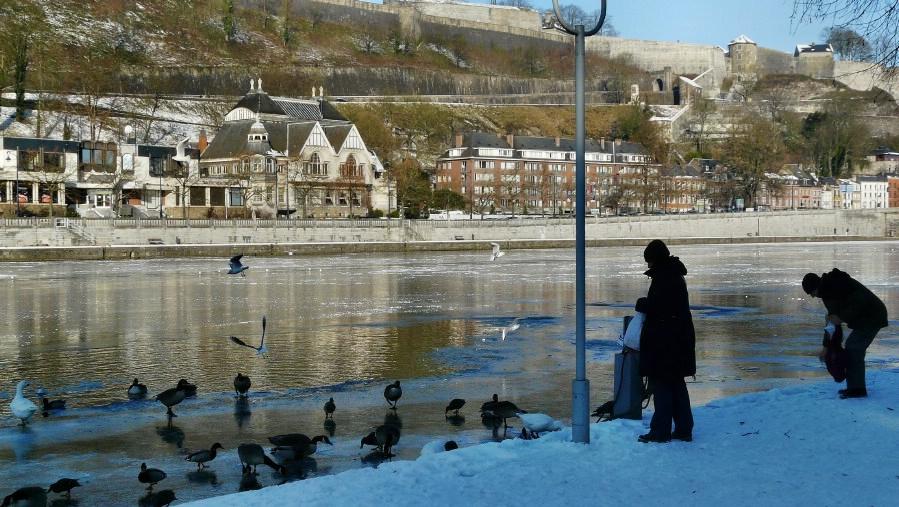 namur180109049