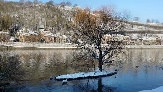 namur100109035