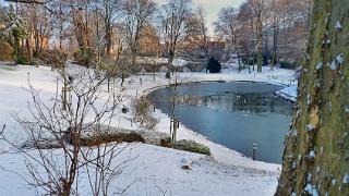 namur100110039