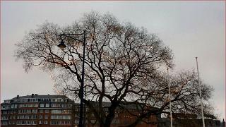 namur020111073