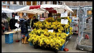 namur090111004