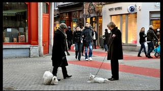 namur090111106