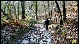 namur160111015