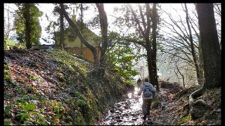 namur160111017