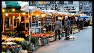 namur160111039