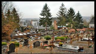 namur300111042