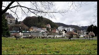 namur2201120106
