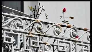 namur2901120025