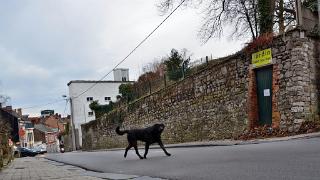 namur0501140054