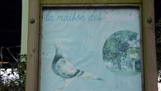 namur2501150036