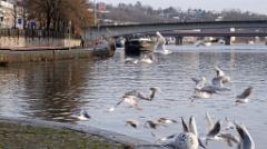 namur150117034